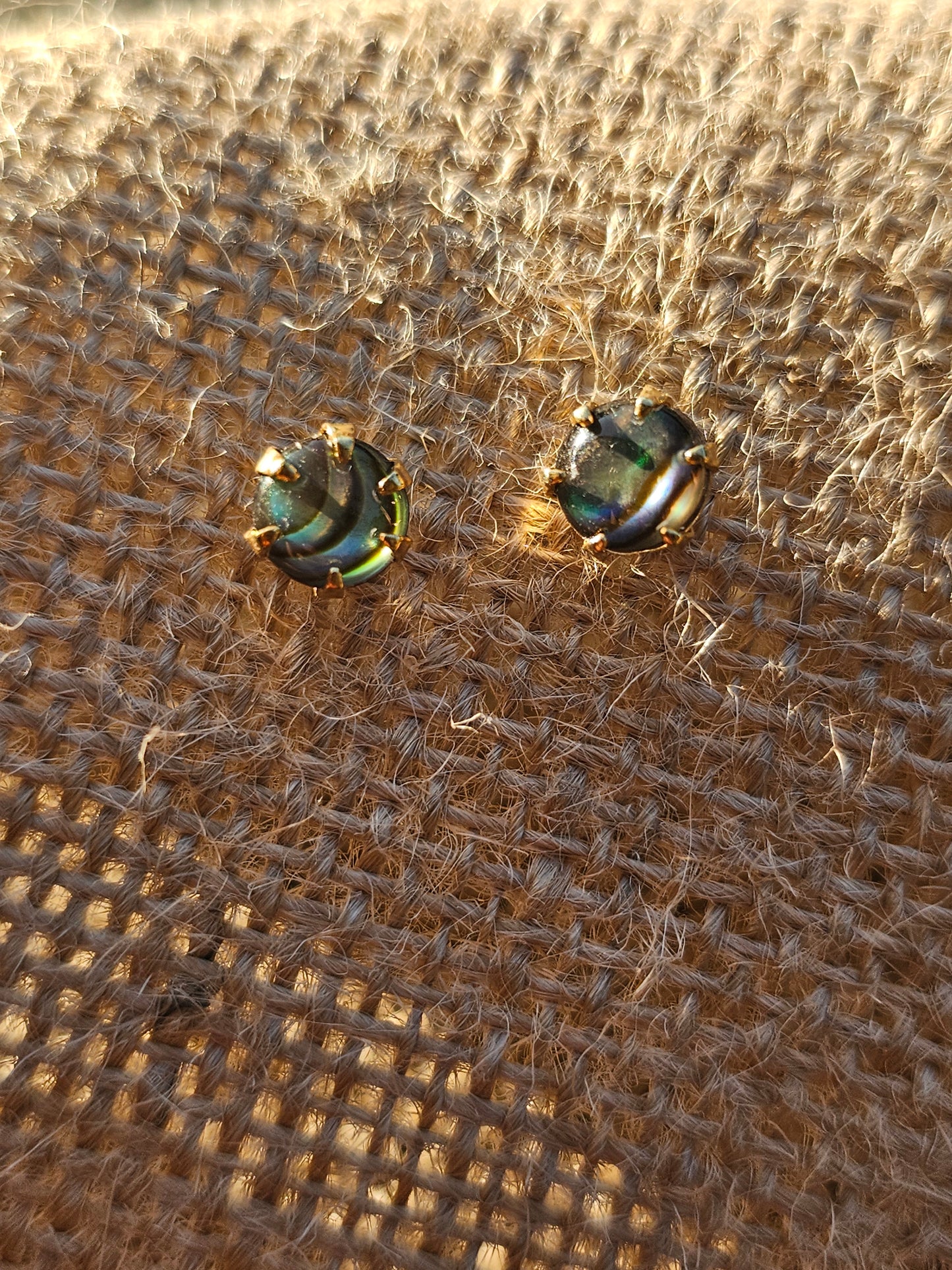 Paua shell earrings