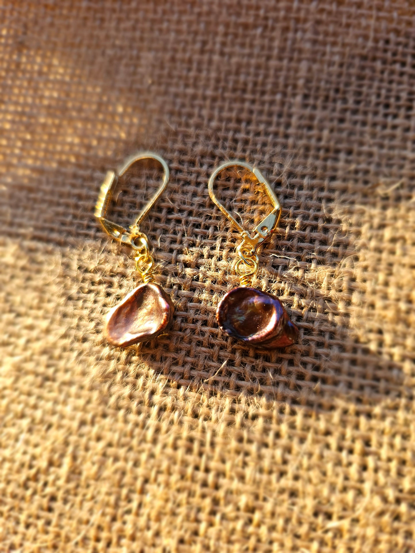 Mother of pearl 14k earrings