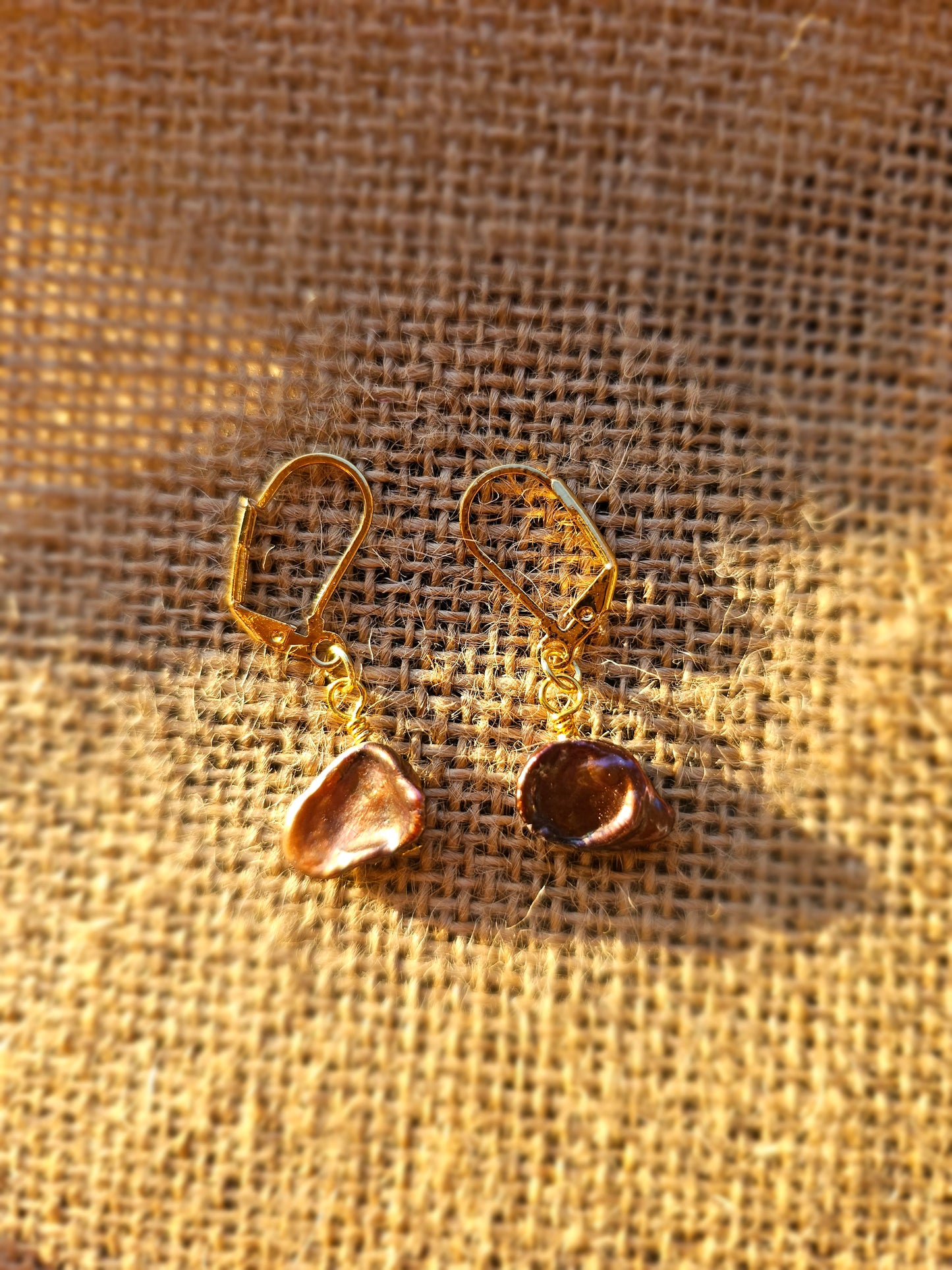 Mother of pearl 14k earrings