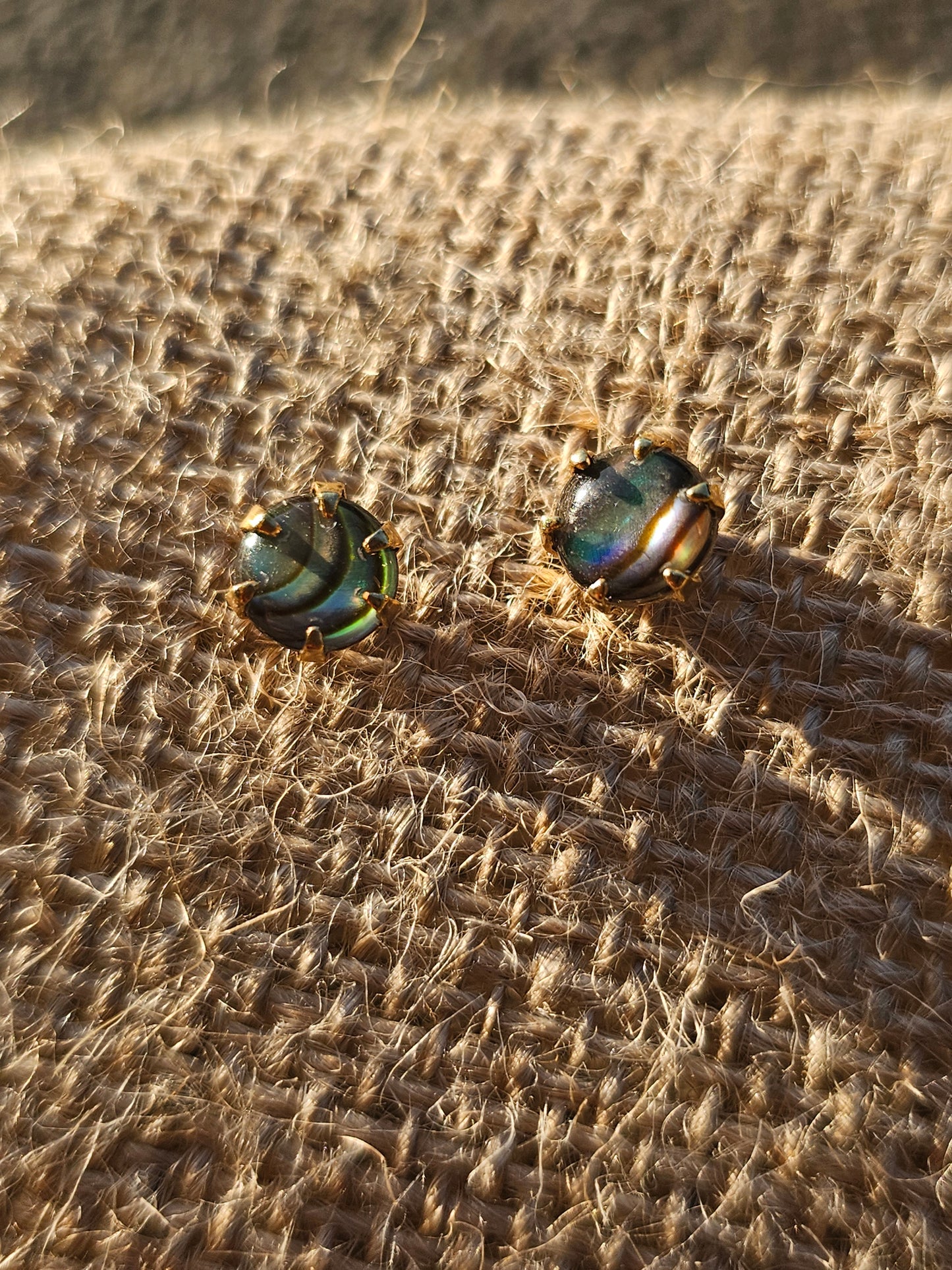 Paua shell earrings